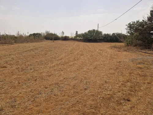 Vente Terrain Agricole Mostaganem Sidi lakhdaara