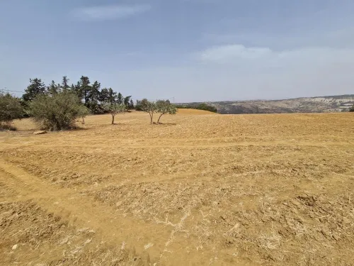 Vente Terrain Agricole Mostaganem Sidi lakhdaara