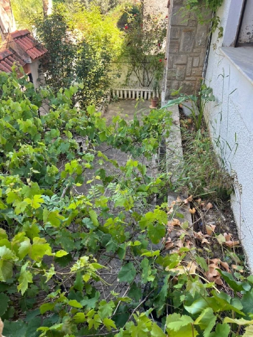 Vente Villa Alger Baba hassen