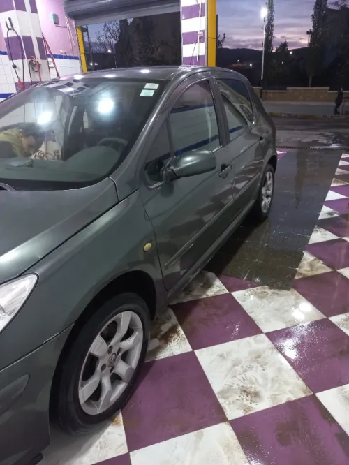 Peugeot 307 2007 Oxygo