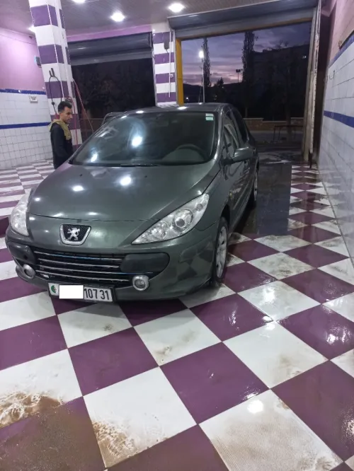 Peugeot 307 2007 Oxygo