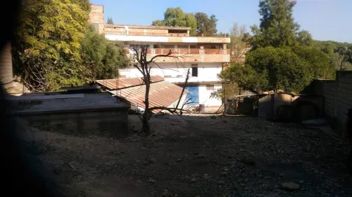 Vente Terrain Alger El achour