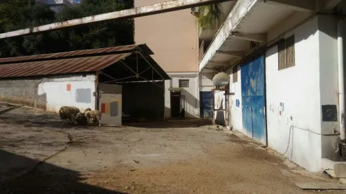 Vente Terrain Alger El achour