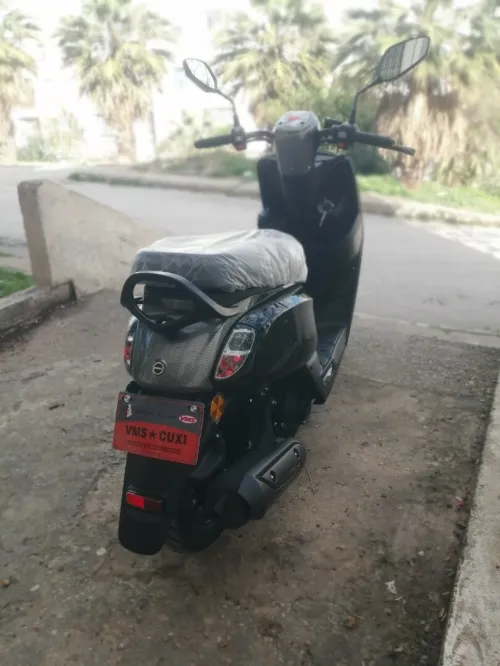 Vms Coxi 1 2026