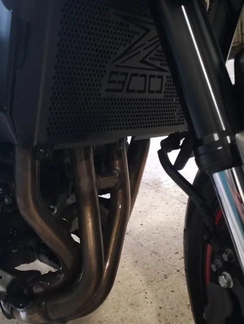 Kawasaki Z900 2023