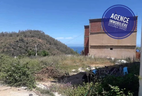 Vente Terrain Skikda Skikda