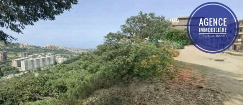 Vente Terrain Skikda Skikda
