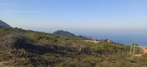 Vente Terrain Jijel El aouana