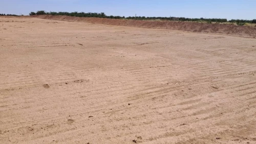 Vente Terrain Agricole Biskra Sidi okba