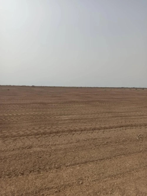Vente Terrain Agricole Biskra Sidi okba