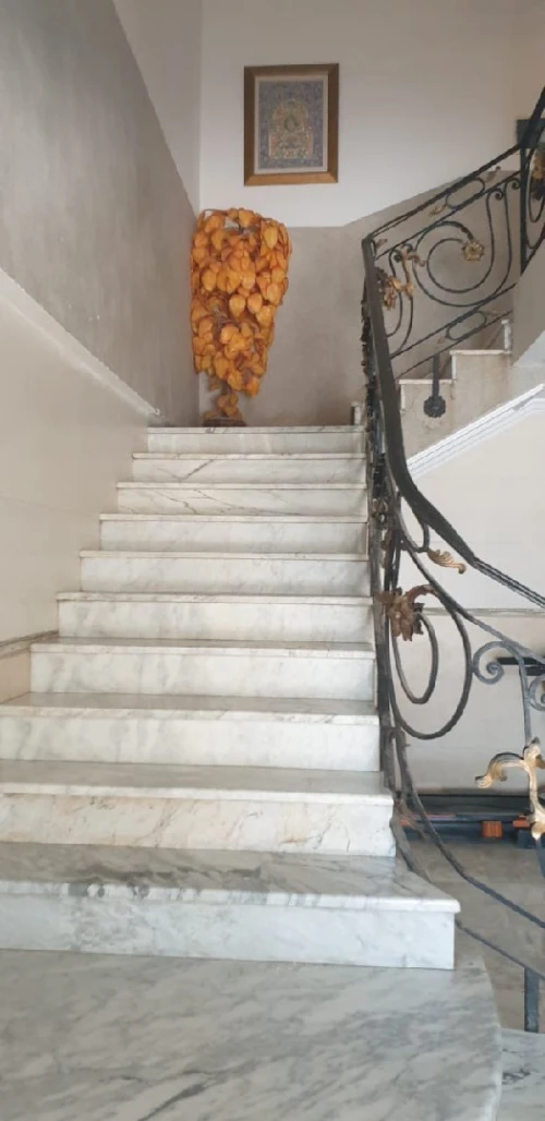 Vente Villa Alger Draria