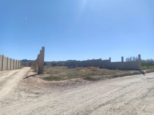 Vente Terrain Bouira Oued el berdi