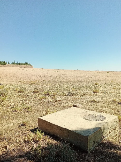 Vente Terrain Agricole Bordj Bou Arreridj El achir