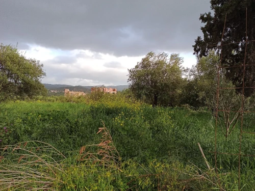 Vente Terrain Béjaïa Akbou