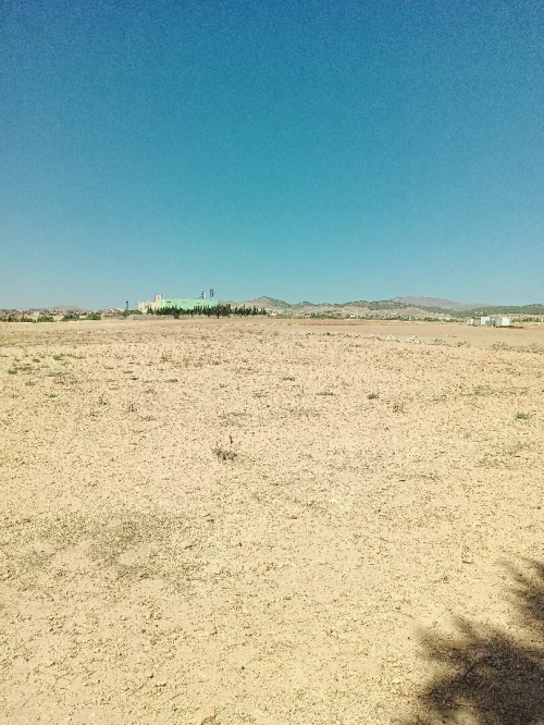 Vente Terrain Agricole Bordj Bou Arreridj El achir