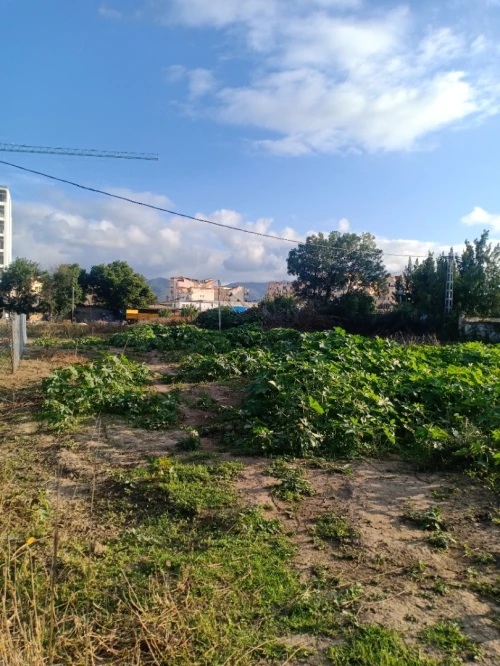 Vente Terrain Béjaïa Bejaia