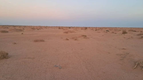 Vente Terrain Agricole Biskra Sidi okba