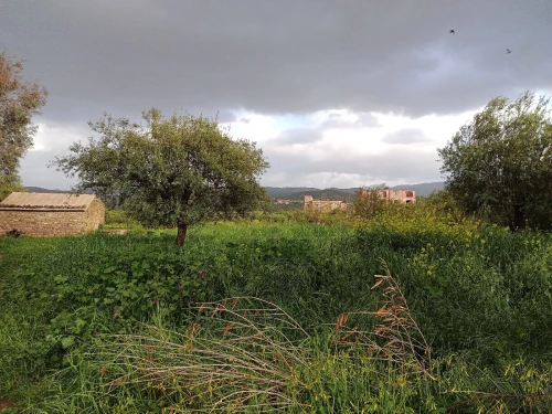 Vente Terrain Béjaïa Akbou