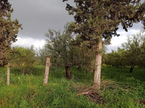 Vente Terrain Béjaïa Akbou