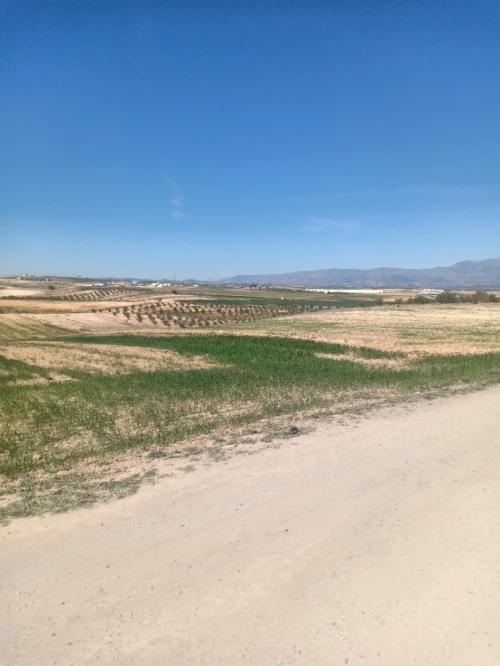 Vente Terrain Bouira Oued el berdi