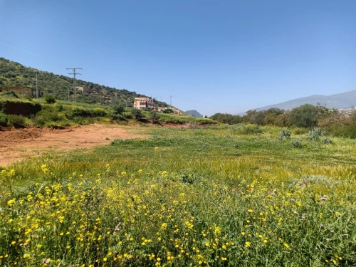 Location Terrain Béjaïa Amalou