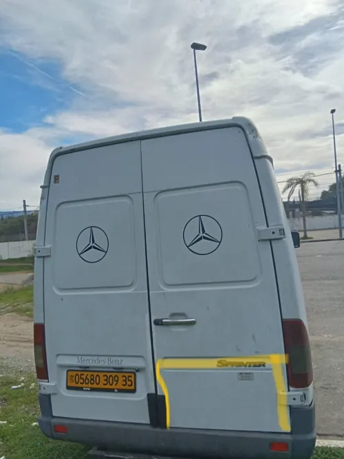 Mercedes sprinter 2009