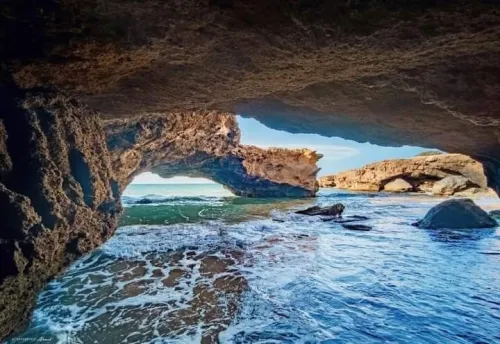 Location Appartement Mostaganem Sidi lakhdaara
