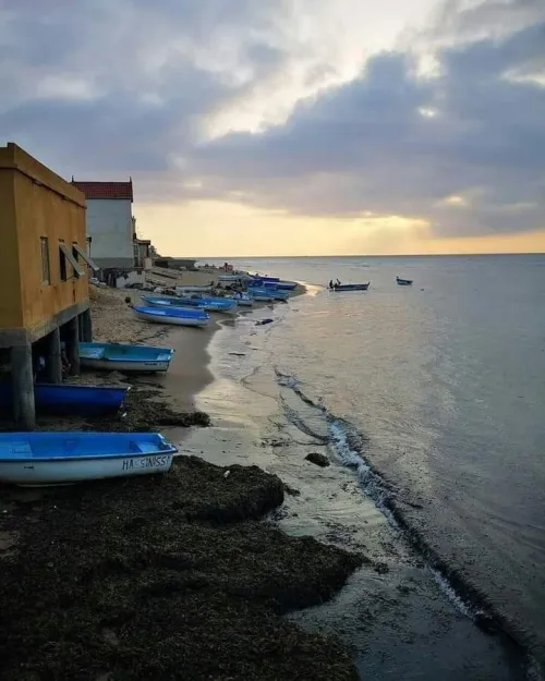 Location Appartement Mostaganem Sidi lakhdaara