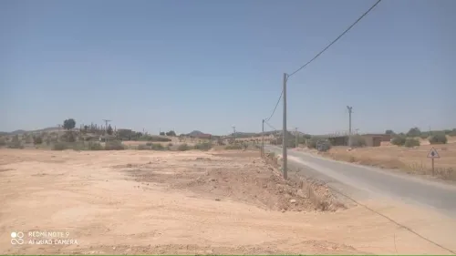 Vente Terrain Agricole Bouira Oued el berdi