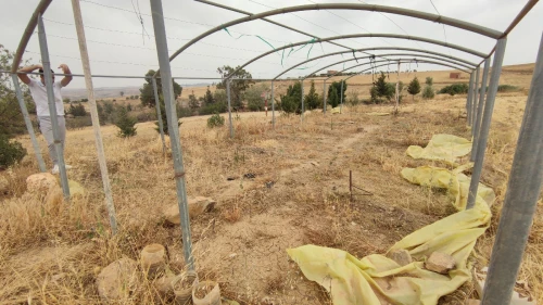 Vente Terrain Agricole Bordj Bou Arreridj Hasnaoua
