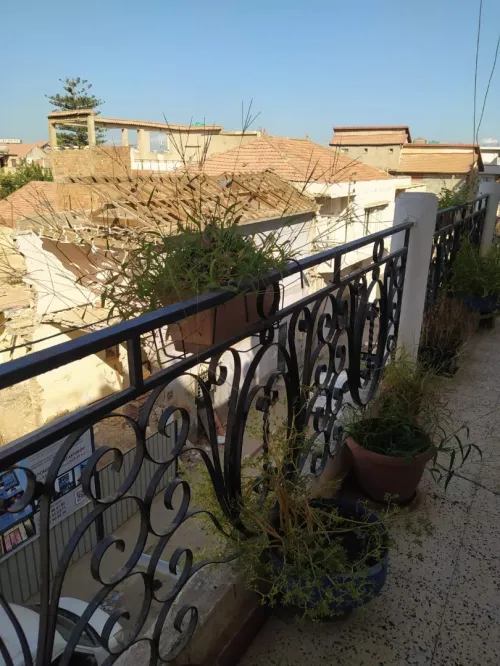 Vente Niveau De Villa F6 Blida Blida