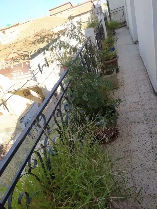 Vente Niveau De Villa F6 Blida Blida