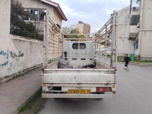 Yue jin Camion 2015