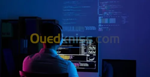 Développeur Web Professionnel à Votre Service - Sites Web Modernes