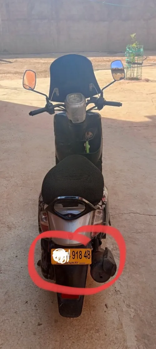 Pista Pista 2018
