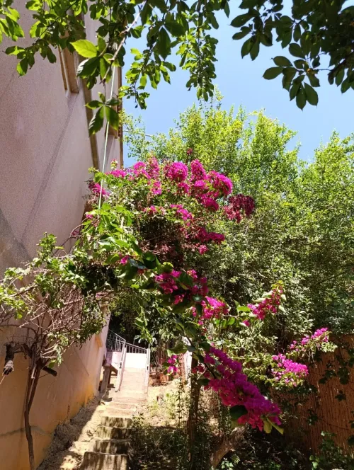 Vente Villa Skikda Hamadi krouma