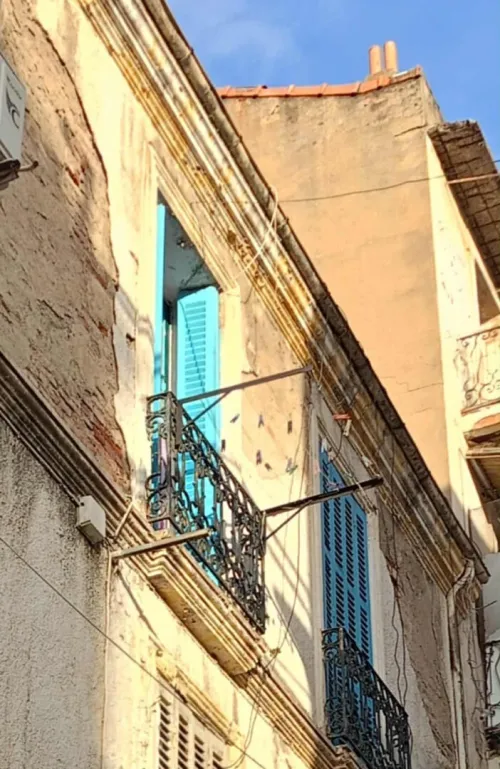 Vente Appartement F3 Skikda Skikda