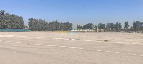 Location Terrain Alger Oued smar
