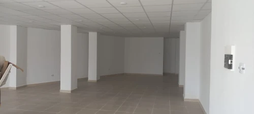 Location Local Alger Dely brahim
