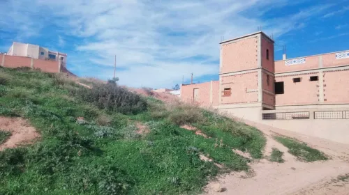 Vente Terrain Aïn Defla Hammam righa
