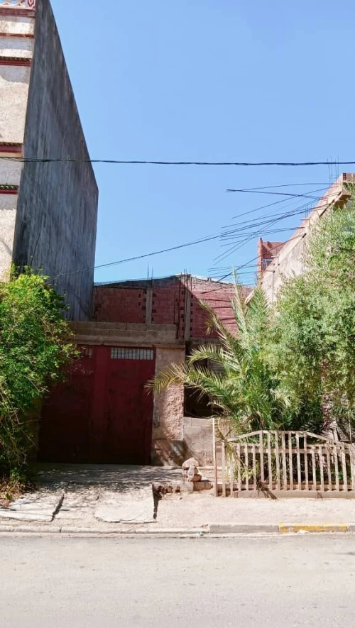 Vente Terrain Tiaret Dahmouni