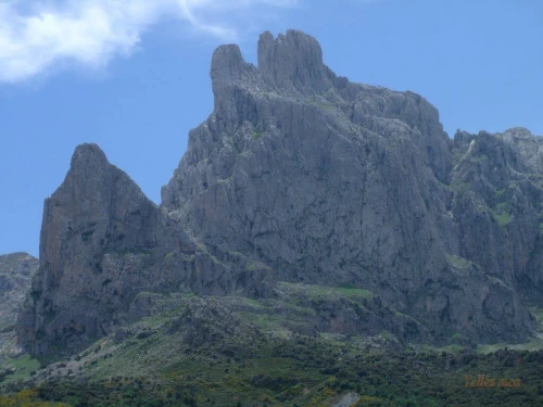 Vente Terrain Tizi Ouzou Ait boumehdi