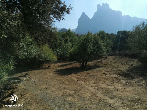 Vente Terrain Tizi Ouzou Ait boumehdi