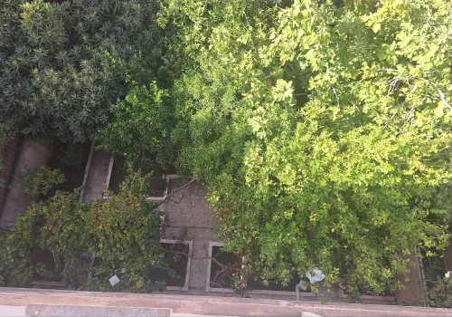 Vente Villa Constantine Constantine
