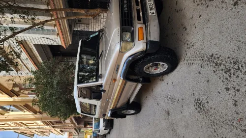 Toyota Land Cruiser 1995 Court