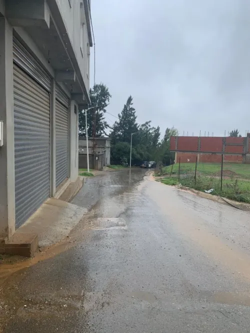 Vente Terrain Blida Ouled yaich