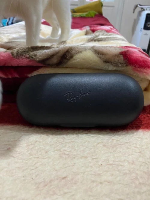 Ray-Ban Meta glasses