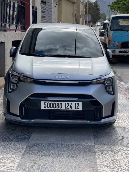 Kia Picanto morning 2024 