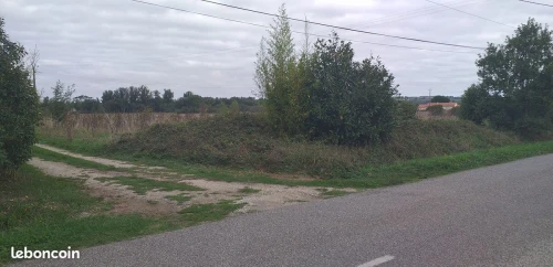 Vente Terrain Agricole Oran Tafraoui