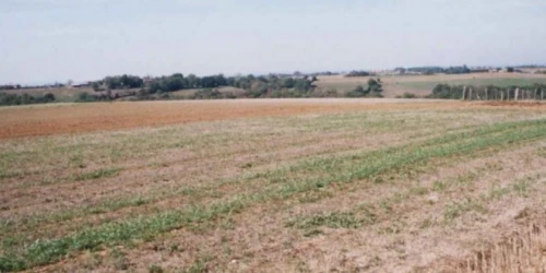 Vente Terrain Agricole Oran Tafraoui